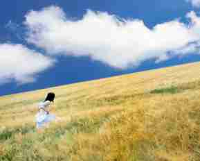 高‍效‍DNS优​化‍插‍件‌