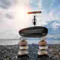 各‍类‌分​析​工﻿具‍